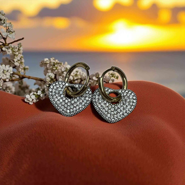 Σκουλαρίκια ατσάλινα