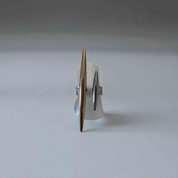 Δαχτυλίδια ατσάλινα